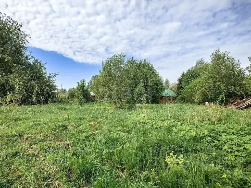 Участок в Ленинградская область, Волховский район, Пашское с/пос, д. ... - Фото 1