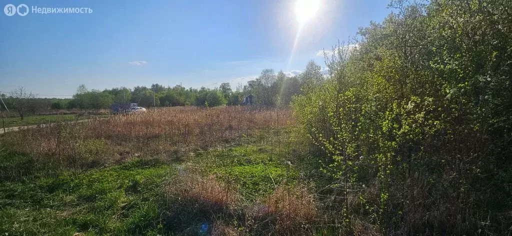 Участок в Истобниковское сельское поселение, село Летово, 113 (15 м) - Фото 1