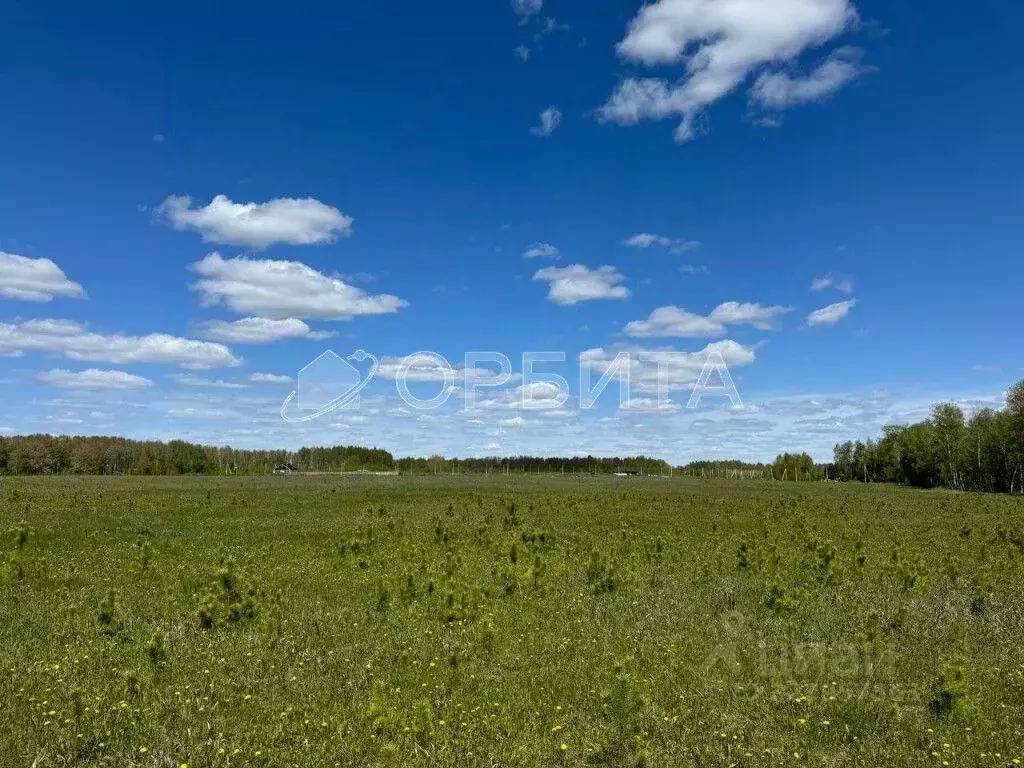 Участок в Тюменская область, Тюменский муниципальный округ, д. Ушакова ... - Фото 1