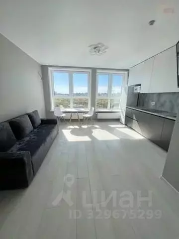 Студия Самарская область, Самара ул. Стара-Загора, 240 (30.3 м) - Фото 2