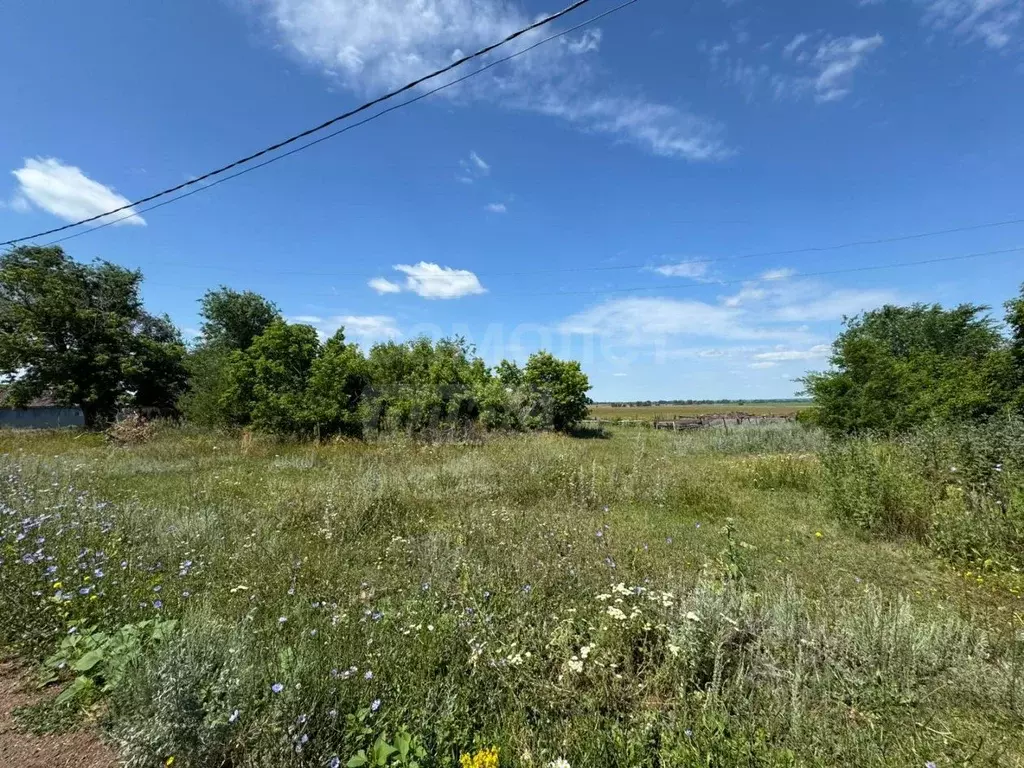 Участок в Оренбургская область, Оренбургский район, Приуральский ... - Фото 1
