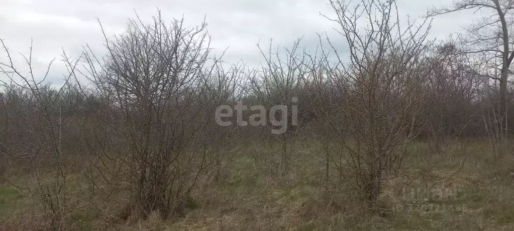 Участок в Белгородская область, Белгородский район, Дубовское с/пос, ... - Фото 0