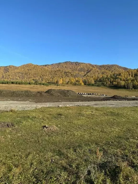 Участок в Алтай, Чемальский район, Чемальское с/пос  (10.0 сот.) - Фото 1