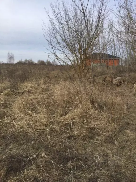 Участок в Московская область, Серебряные Пруды пгт ул. Свободная ... - Фото 1