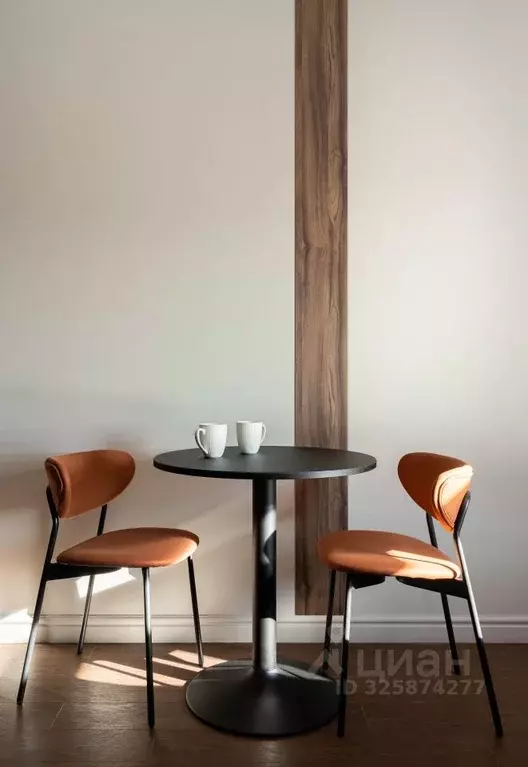 Студия Санкт-Петербург Херсонский проезд, 6 (21.2 м) - Фото 2