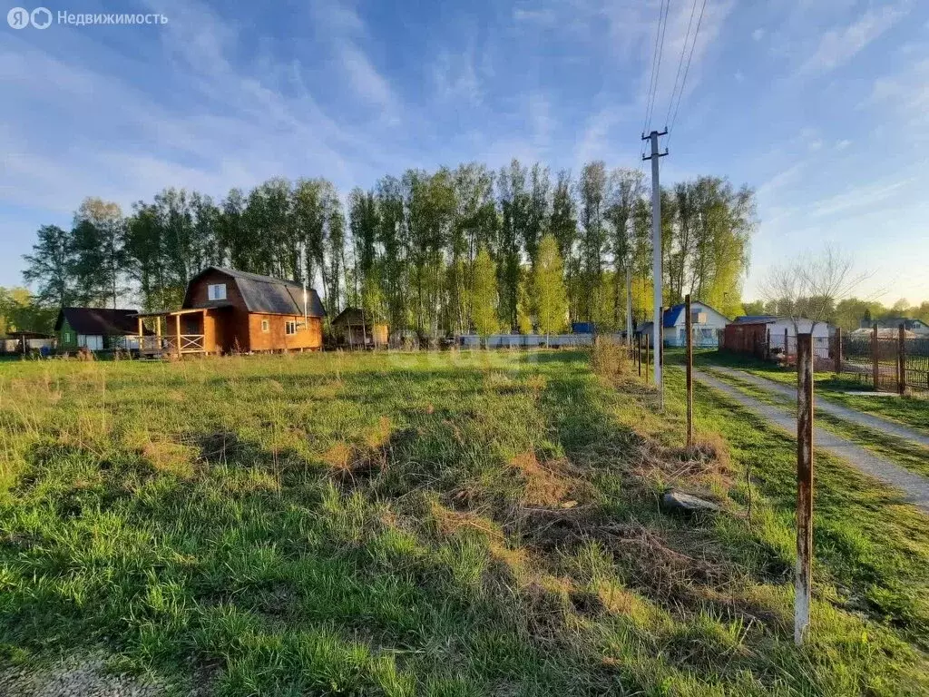 Участок в Новосибирский район, Берёзовский сельсовет, садоводческое ... - Фото 1