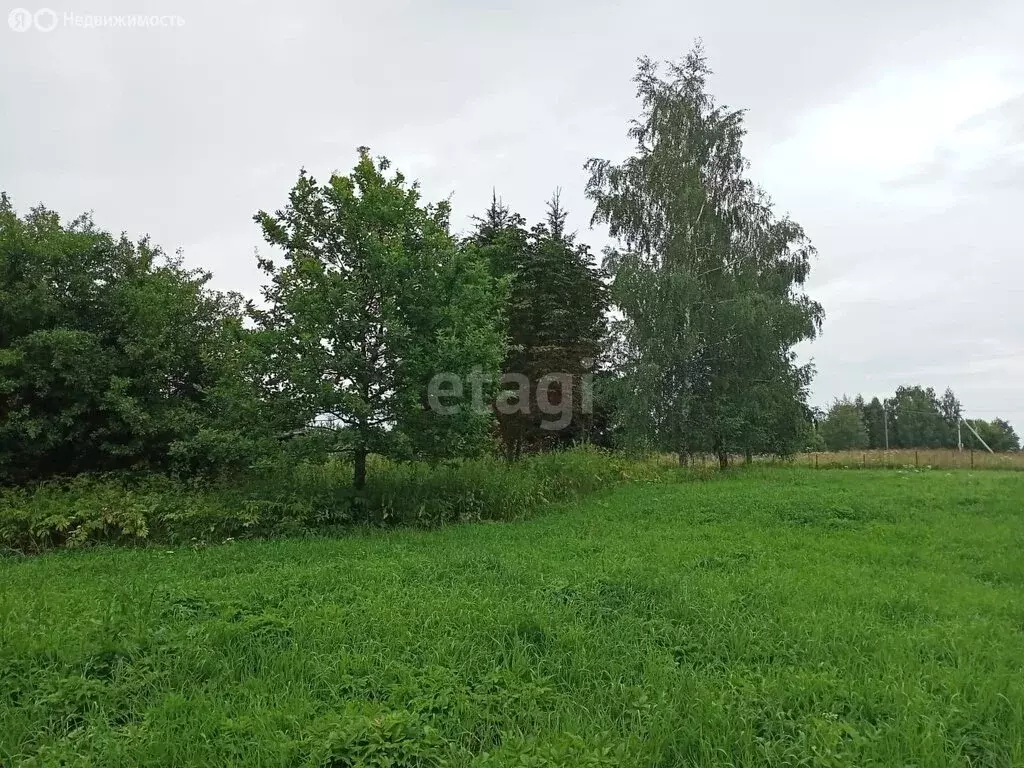 Участок в Заокский район, муниципальное образование Демидовское, ... - Фото 0