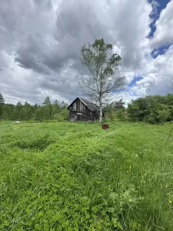Участок в Московская область, Серпухов городской округ, д. ... - Фото 2