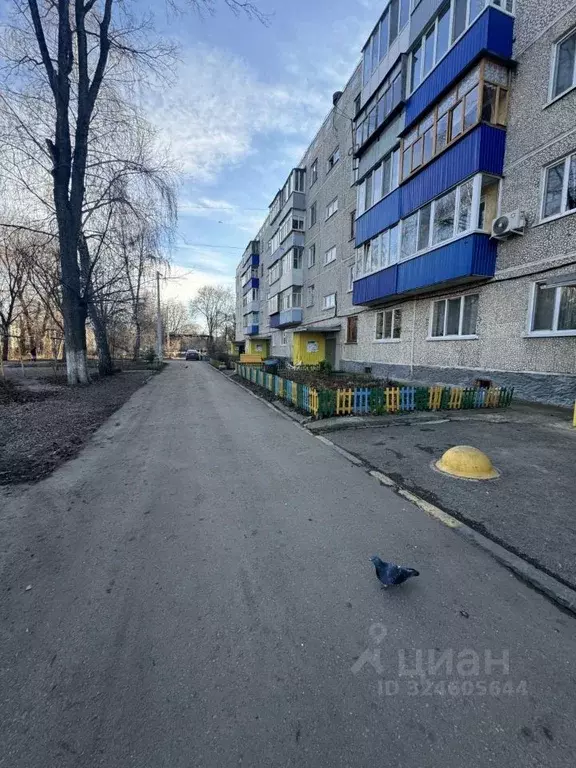 1-к кв. Ульяновская область, Ульяновск ул. Ефремова, 119 (28.0 м) - Фото 1