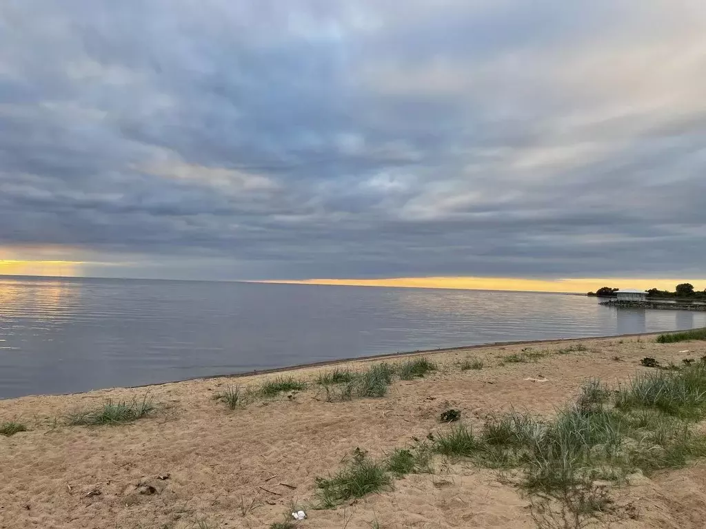 Участок в Псковская область, Гдовский район, Юшкинская волость, д. ... - Фото 1