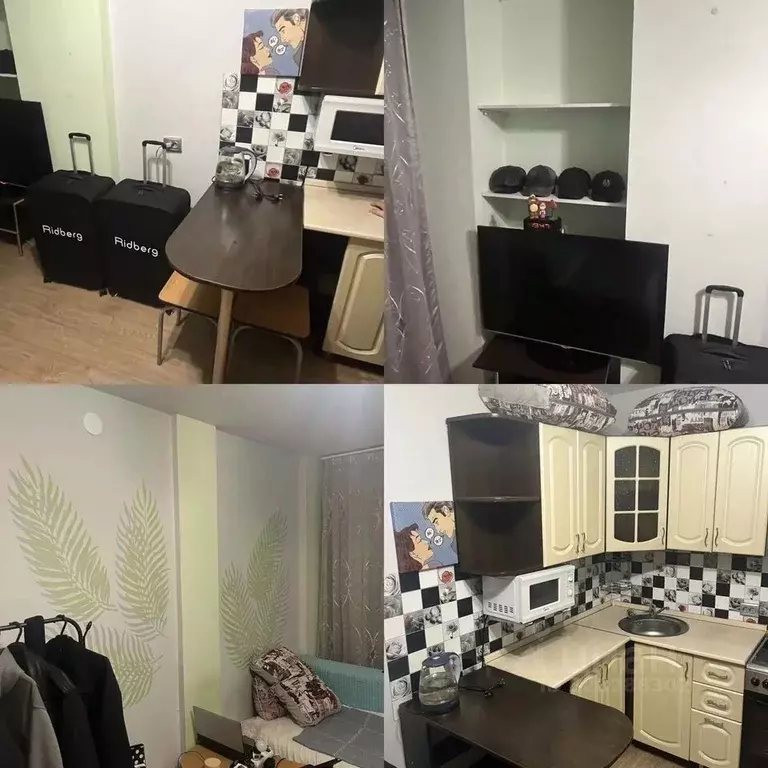 Студия Красноярский край, Красноярск Норильская ул., 5 (25.0 м) - Фото 1