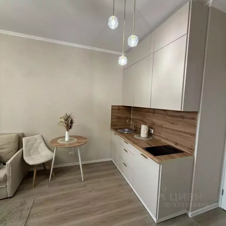 Студия Санкт-Петербург пос. Шушары, ул. Нины Петровой, 9 (22.8 м) - Фото 2
