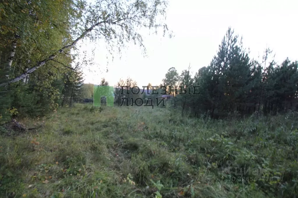 Участок в Красноярский край, Емельяновский муниципальный округ, пос. ... - Фото 2