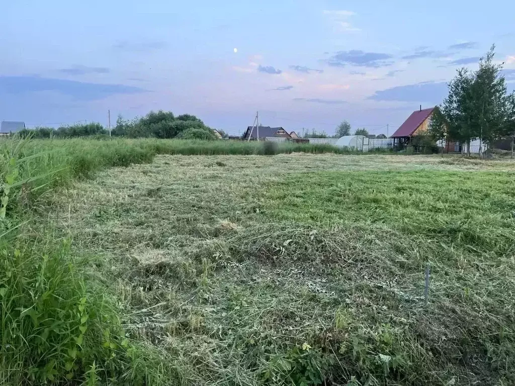 Участок в Новосибирская область, Колыванский район, Север ТСН 353 ... - Фото 2