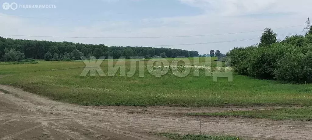 Участок в Толмачёвский сельсовет, деревня Алексеевка, Королёвская ... - Фото 0