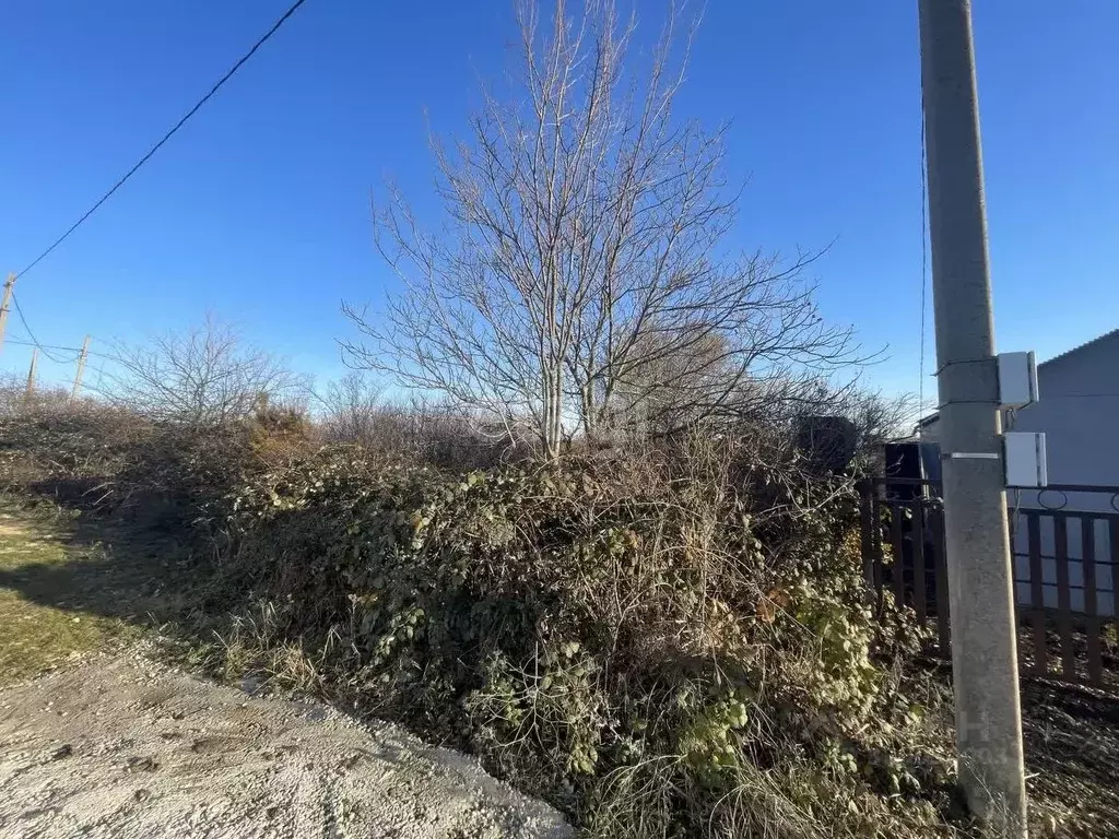 Участок в Ставропольский край, Ставрополь Зори Кавказа садовое ... - Фото 2