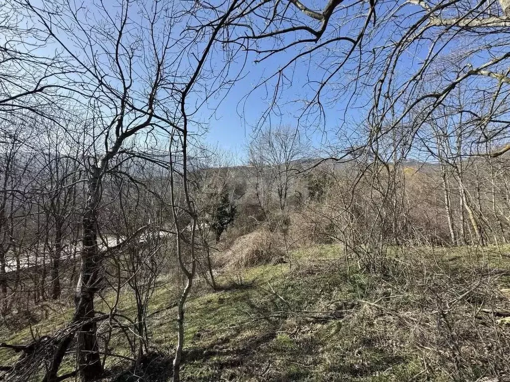 Участок в Крым, Алушта муниципальный округ, с. Лучистое  (176.0 сот.) - Фото 1