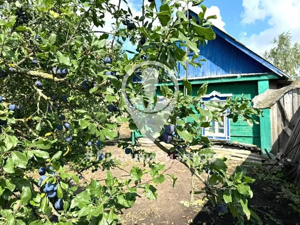 Дом в Рязанская область, рабочий посёлок Сараи (31 м) - Фото 1