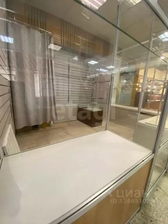 Торговая площадь в Томская область, Томск просп. Ленина, 15 (11 м) - Фото 2