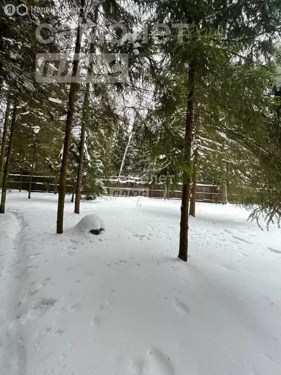 Участок в деревня Новоглаголево, Мишуткинская улица (13 м) - Фото 1