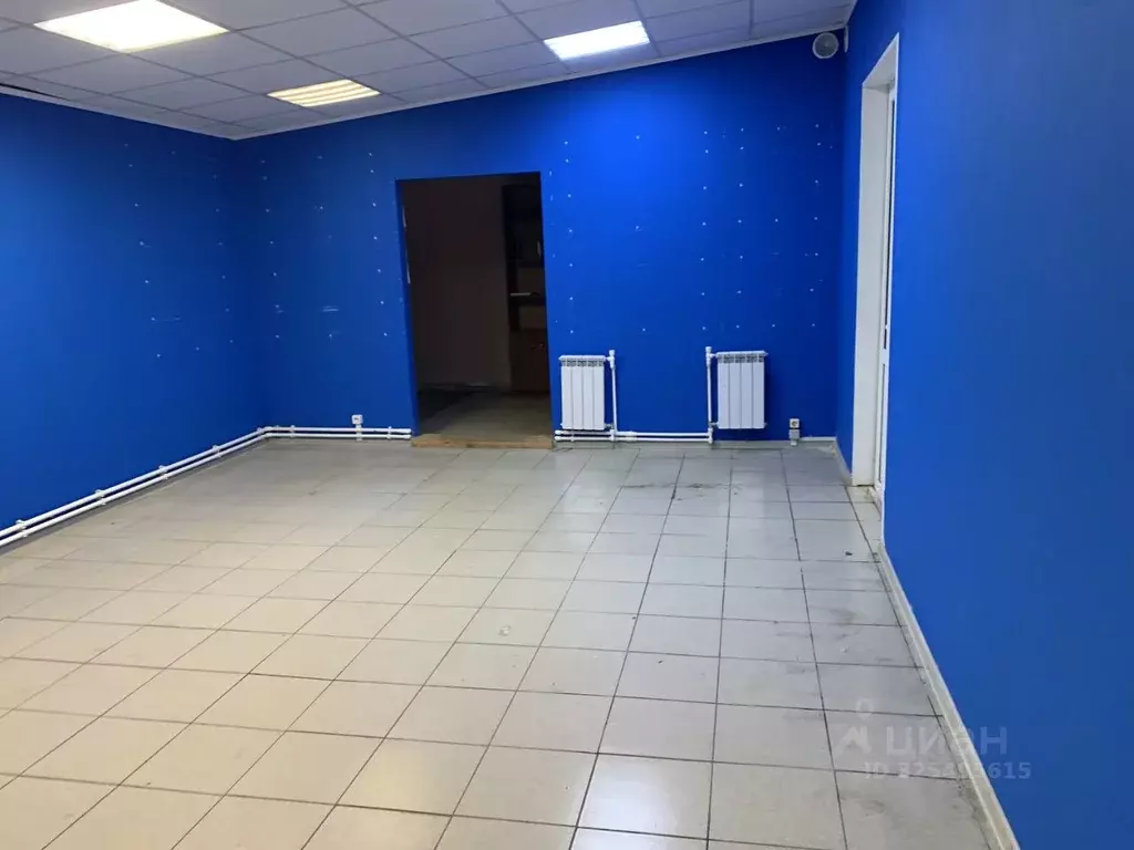 Помещение свободного назначения в Псковская область, Псковский район, ... - Фото 2