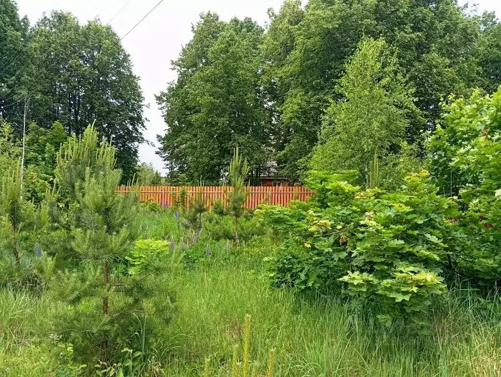 Участок в Владимирская область, Киржачский муниципальный округ, ... - Фото 2