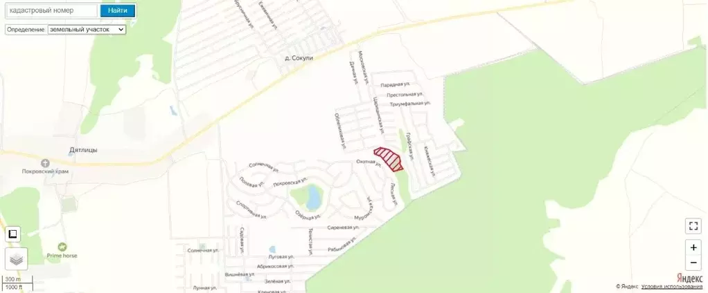 Участок в Ленинградская область, Ломоносовский район, Гостилицкое ... - Фото 2