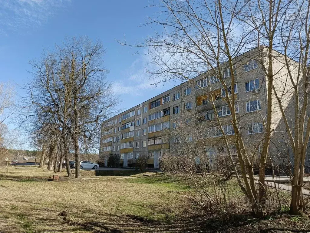 2-к кв. Московская область, Воскресенск ул. Мичурина, 11 (53.2 м) - Фото 0