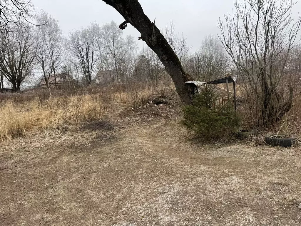 Участок в Московская область, Электроугли Богородский городской округ, ... - Фото 1