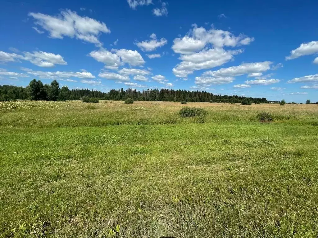 Участок в Пермский край, Ильинский муниципальный округ, д. Тупица ... - Фото 1