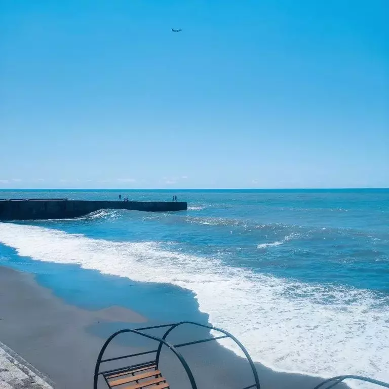 Студия Краснодарский край, Сочи ул. Просвещения, 118/1 (26.0 м) - Фото 0