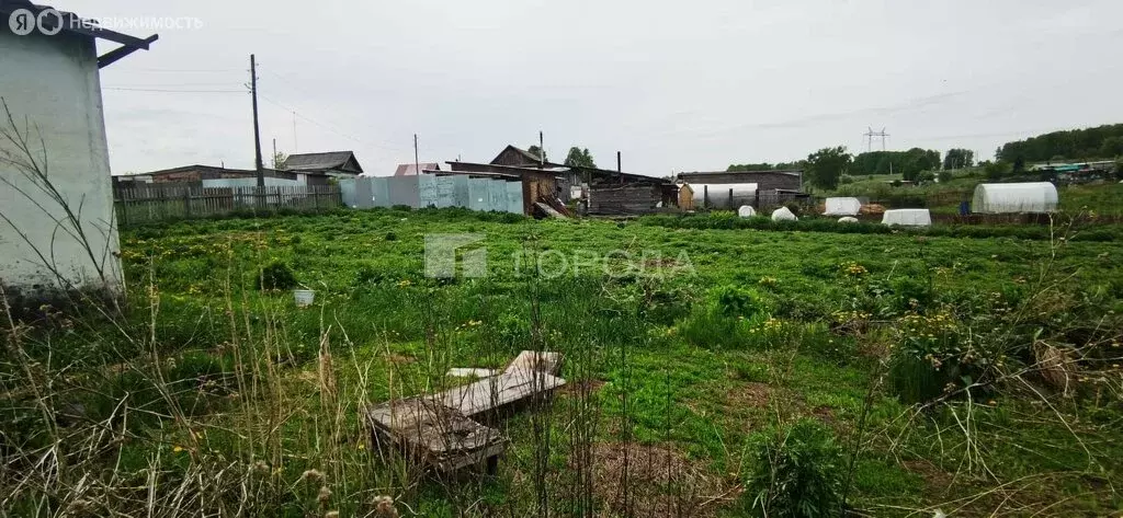 Участок в Искитимский район, Евсинский сельсовет, деревня Шадрино, ... - Фото 0