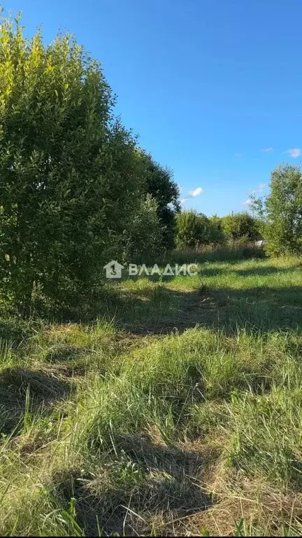 Участок в Ленинградская область, Тосненский район, Никольское ... - Фото 1