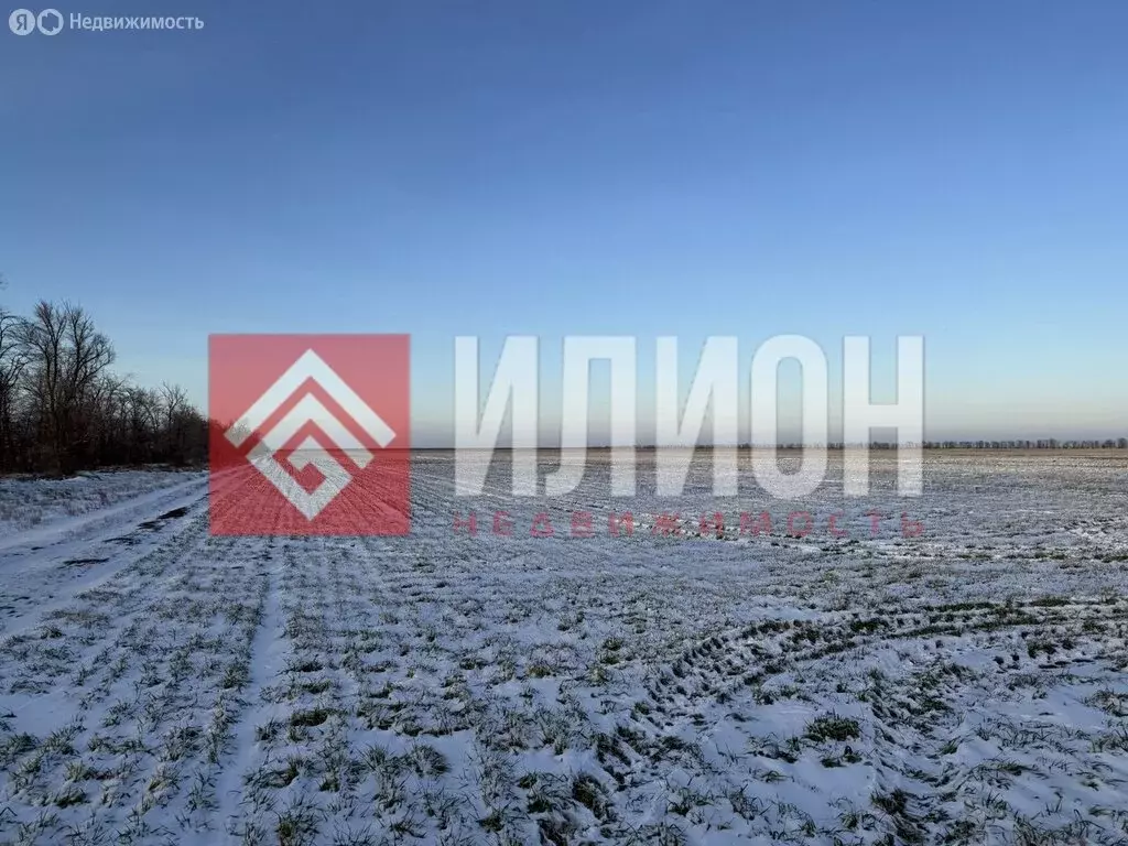 Участок в Синицынское сельское поселение (115 м) - Фото 2