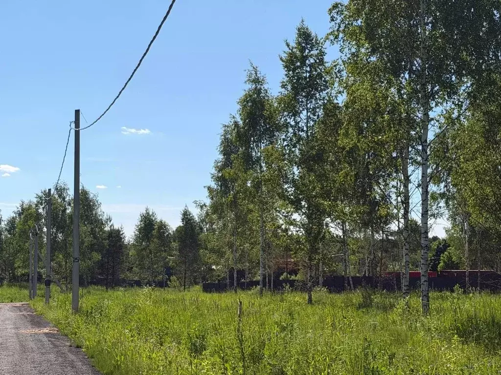 Участок в Московская область, Серпухов городской округ, д. Новая  (8.0 ... - Фото 1