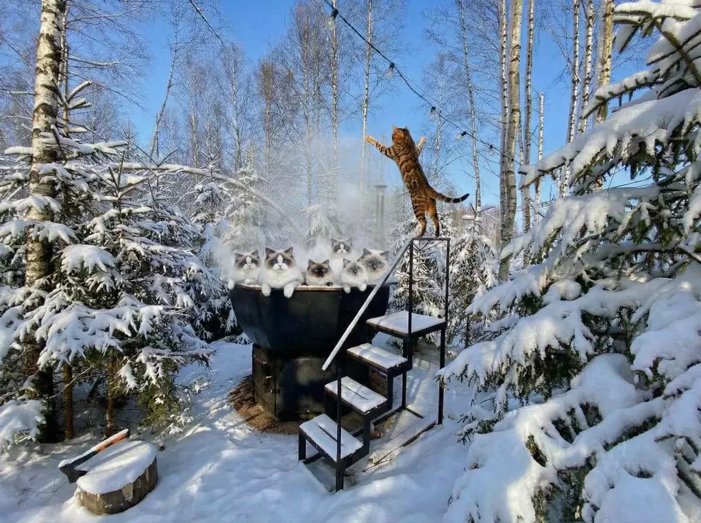 Дом в Московская область, Клин городской округ, ДНП Радости Парк 1 ... - Фото 1