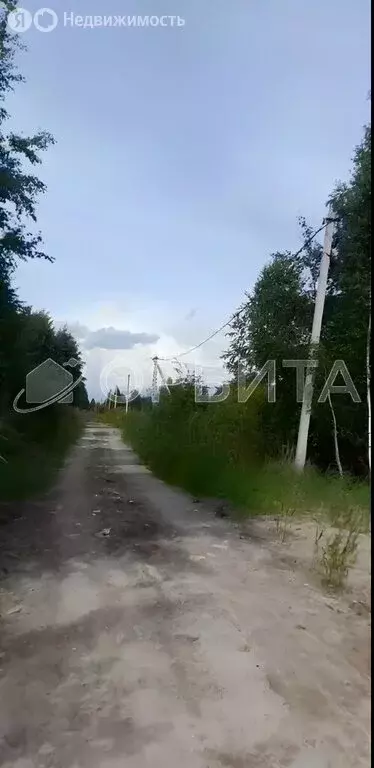 Участок в Тюмень, территория СОСН Изыскатель, Солнечная улица (10 м) - Фото 1