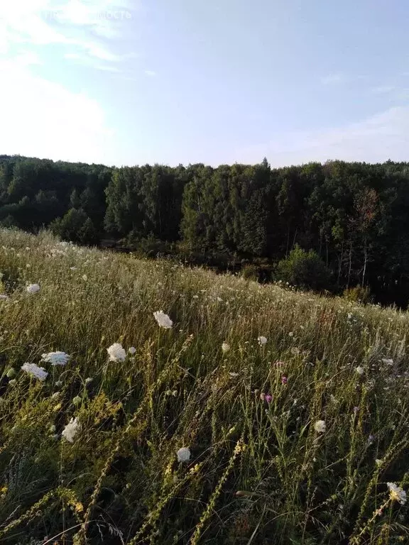Дом в село Ольховатка, Центральная улица (43 м) - Фото 1