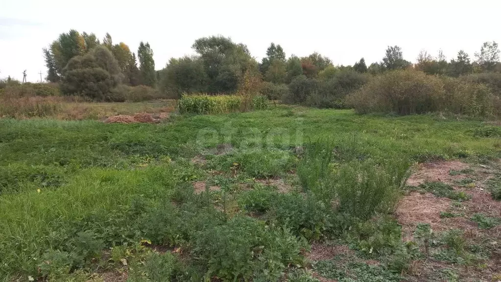 Участок в Белгородская область, Белгородский район, Поселок Разумное ... - Фото 1