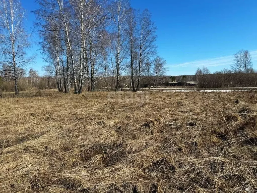 Участок в Новосибирская область, Новосибирский район, с. Барышево  ... - Фото 1