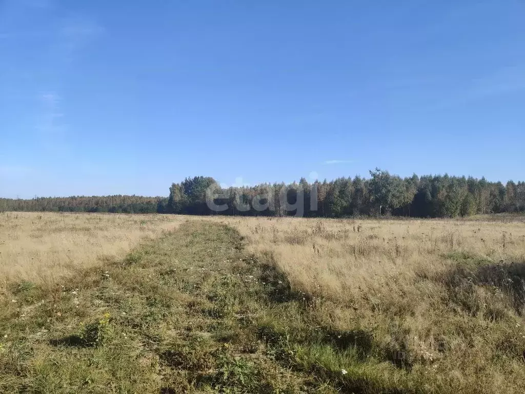 Участок в Смоленская область, Смоленский муниципальный округ, ... - Фото 1