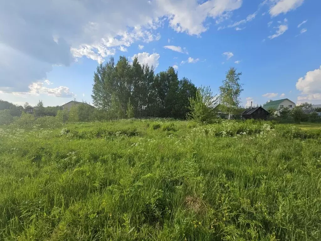 Участок в Московская область, Богородский городской округ, д. Тимково ... - Фото 0