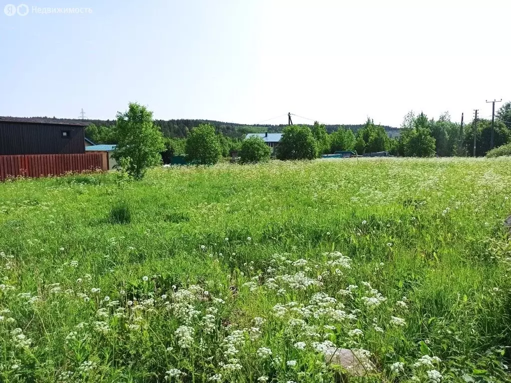 Участок в Заозерье, Заречная улица (15 м) - Фото 1