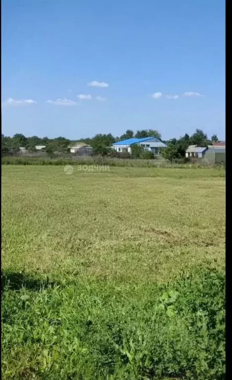 Участок в Чувашия, Чебоксарский муниципальный округ, д. Чиршкасы ... - Фото 1