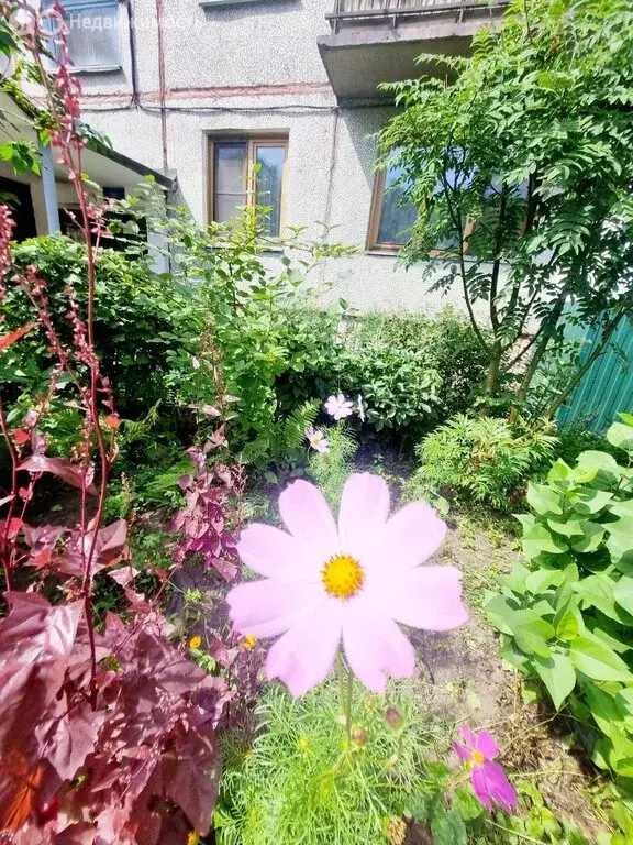 1-комнатная квартира: Абакан, улица Пушкина, 21 (31 м) - Фото 1