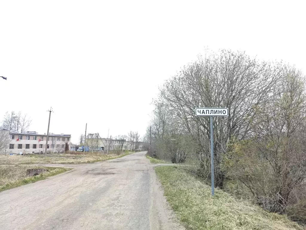 Участок в Ленинградская область, Волховский район, Кисельнинское ... - Фото 1