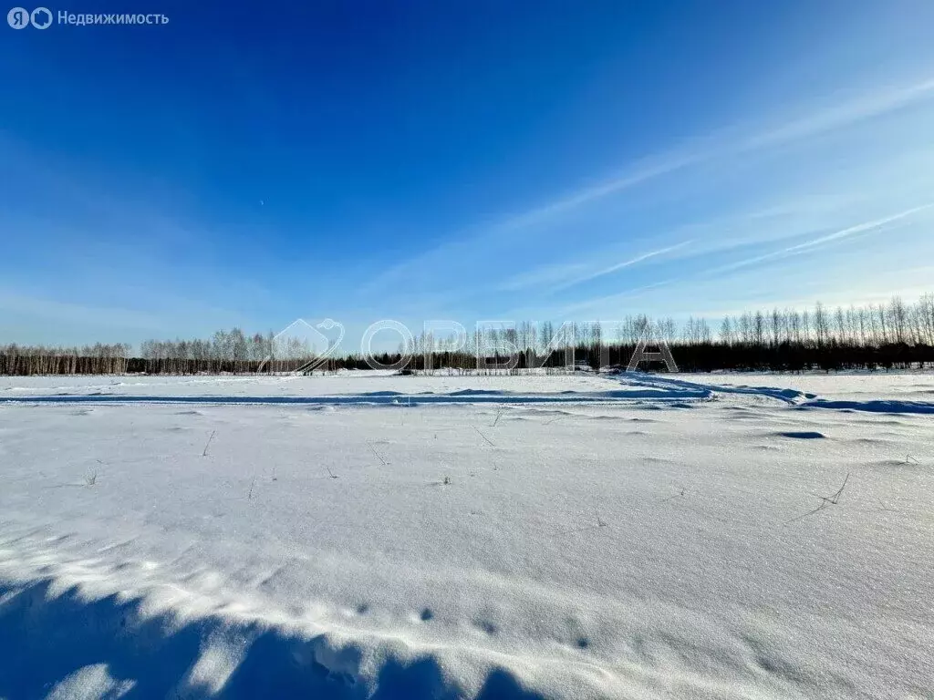 Участок в Тюменский район, село Горьковка (6.24 м) - Фото 0