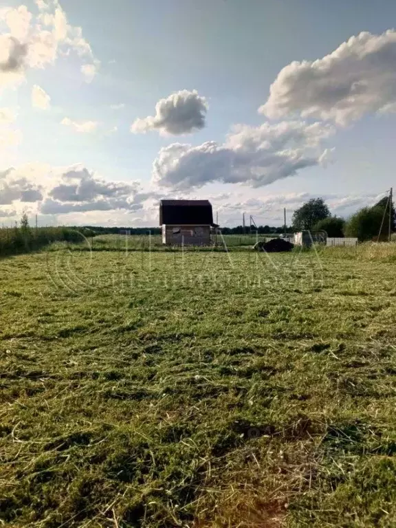 Участок в Ленинградская область, Гатчинский муниципальный округ, д. ... - Фото 2