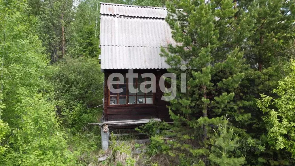 Участок в Красноярский край, Емельяновский район, Элитовский ... - Фото 1