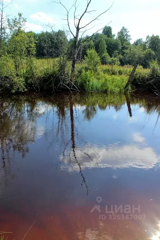 Участок в Карелия, Лахденпохский муниципальный округ, пос. Харвиа  ... - Фото 1